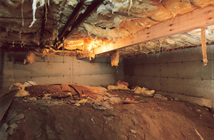 Before view of dirt Crawl Space in Ottawa