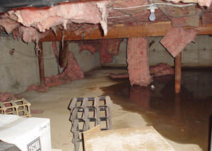 Fiberglass dripping off of the ceilings of a Gloucester crawl space