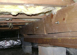 sagging crawl space with wooden shimming a Greely crawl space