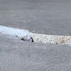 Slab floor cracks showing in a Cumberland home