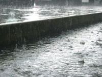 Heavy rains in a downpour in Williamsburg.