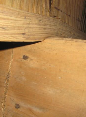 severe damage to a crawl space structure in a Perth home