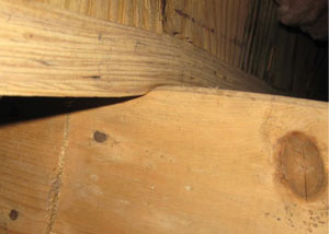 A failing girder showing signs of compression damage in a Ontario home