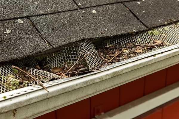 Ontario clogged gutters