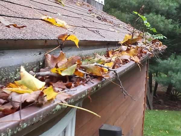 Greater Ottawa clogged gutters