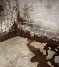 Water seeping through a concrete wall in a Kemptville basement