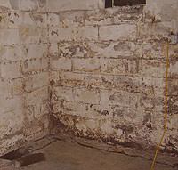 Peeling, Chipping, Basement Wall Coatings in Maxville