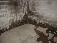 flooded basement with leaky basement walls in Embrun, ON