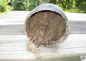 clogged french drain found in Lancaster, Ontario